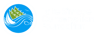 lscf-logo